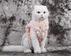 Elegant Overcoat Luxury Pearl Cat Clothes